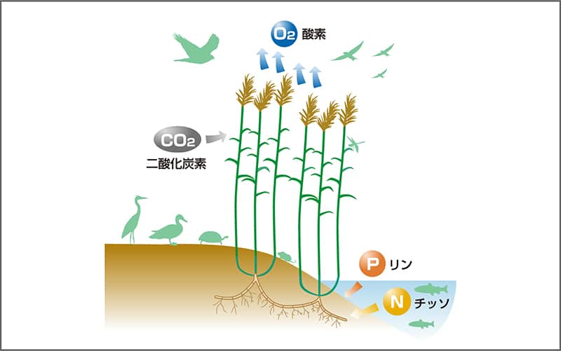 【記事】2282_2.jpg