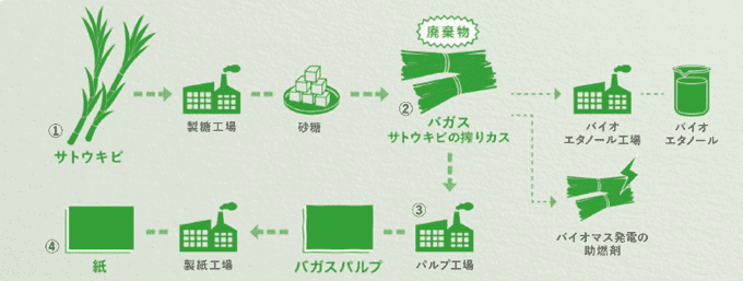 バガスパルプが出来るまで（五條製紙）