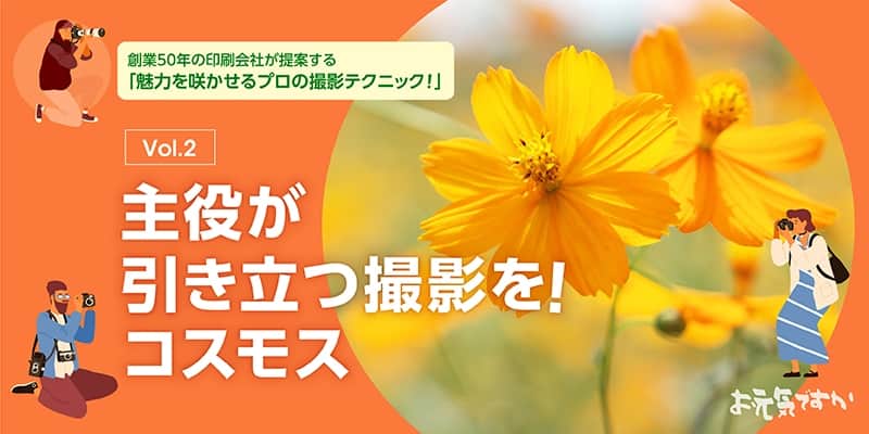 【プロの撮影テクニック】主役が引き立つ撮影を!|コスモス