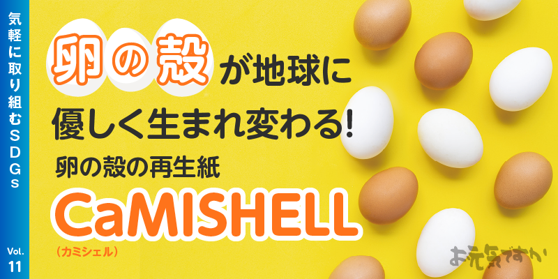 卵の殻が地球に優しく生まれ変わる! 卵の殻の再生紙CaMISHELL(カミシェル)