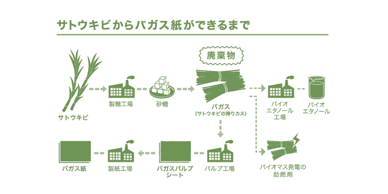 サトウキビからバガス紙ができるまで