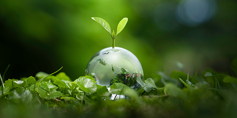 まとめ｜展示会のノベルティは大切な「ブランディングツール」