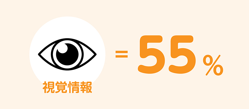 2.視覚情報（55％）のポイント