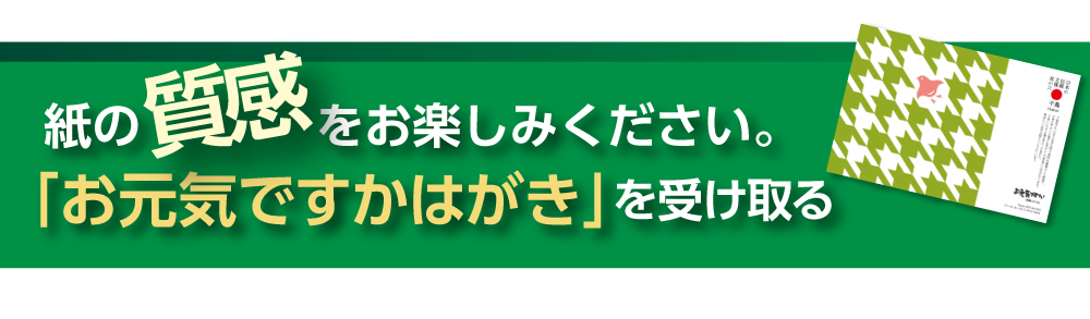 伝統文様千鳥のお元気ですかハガキを受け取る