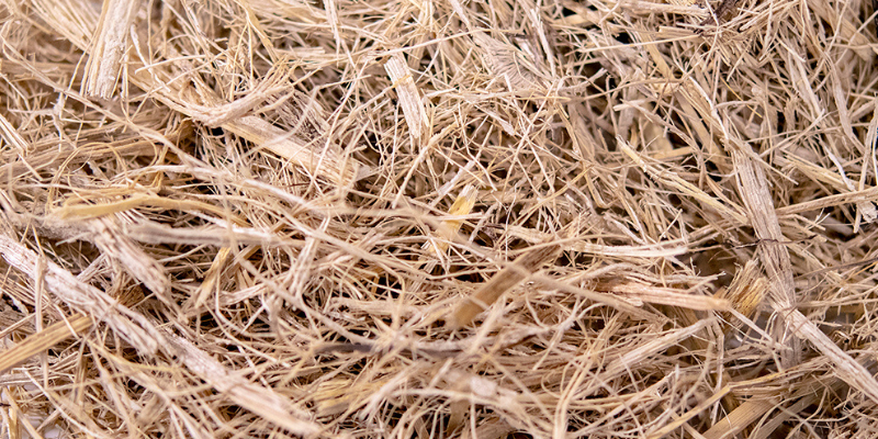 (1)バガスペーパーとは？