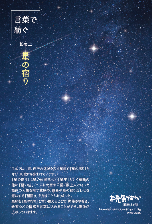 「星の宿り」のデザインへのこだわり