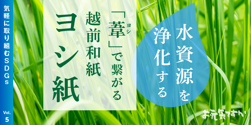 水資源を浄化する「葦(ヨシ)」で繋がるSDGsな未来|「越前和紙 ヨシ紙」