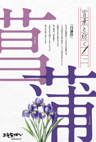 菖蒲（しょうぶ／あやめ）のお元気ですかはがきのその他のデザイン案