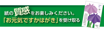 【言葉と紡ぐシリーズ】其の一「菖蒲」