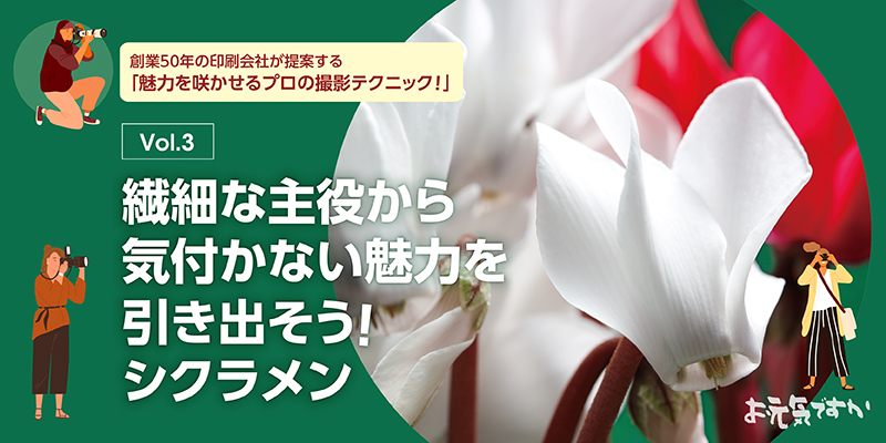【プロの撮影テクニック】繊細な主役から気付かない魅力を引き出そう!シクラメン