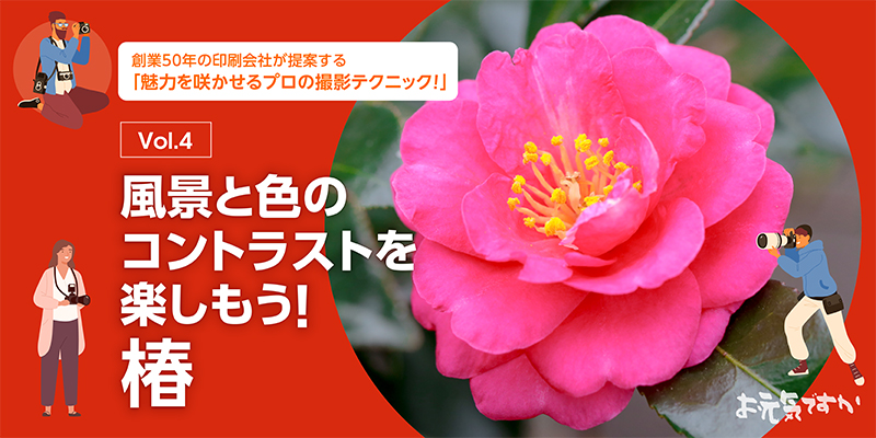 【プロの撮影テクニック】風景と色のコントラストを楽しもう!│椿