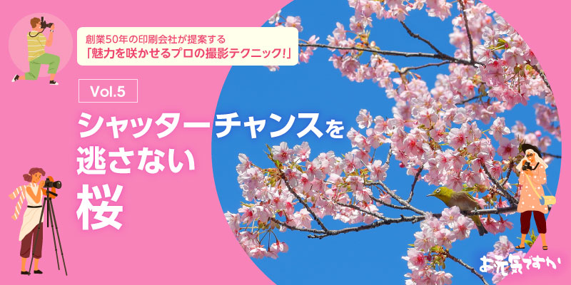 【魅力を咲かせるプロの撮影テクニック!】シャッターチャンスを逃さない│桜