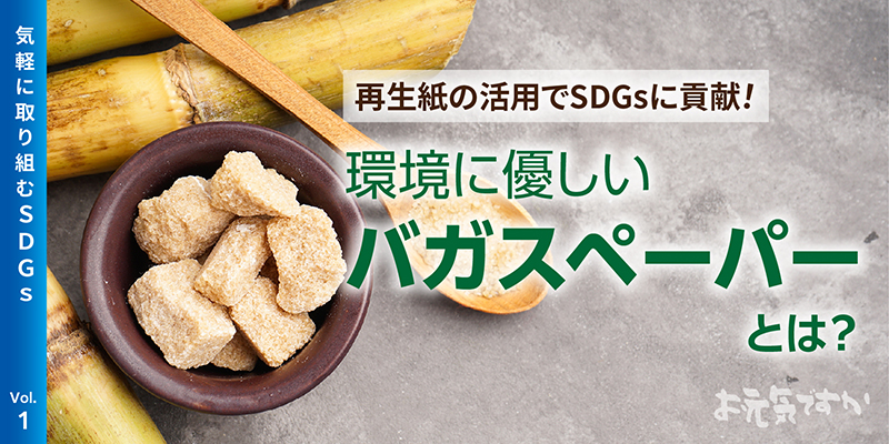 再生紙の活用でSDGsに貢献!環境に優しいバガスペーパーとは?
