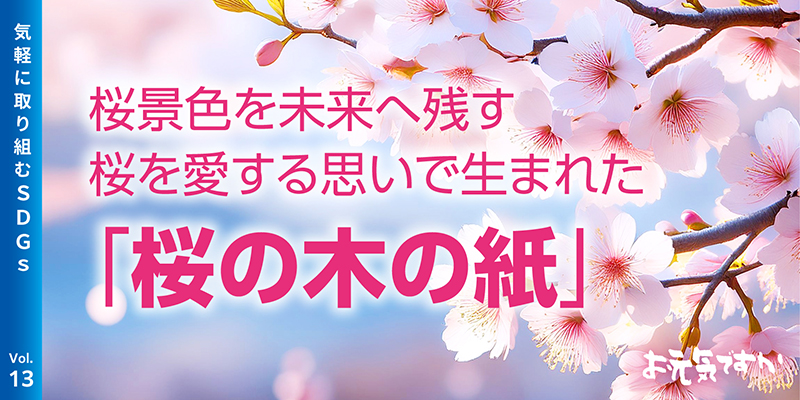 桜景色を未来へ残す|桜を愛する思いで生まれた「桜の木の紙」
